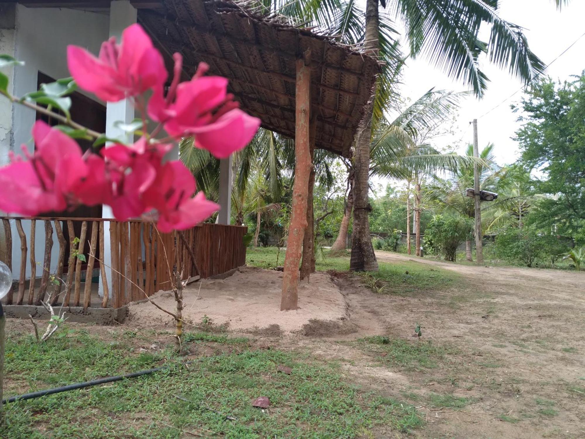 טנגלה Soma Cabana, Homestay & Restaurant מראה חיצוני תמונה