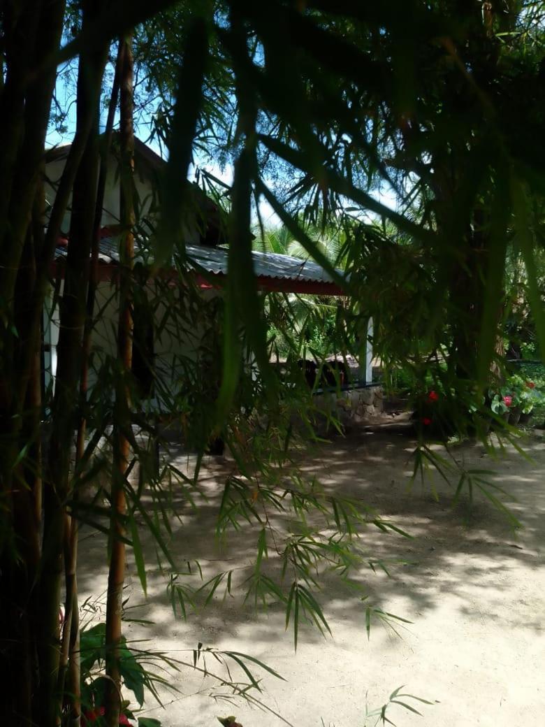 טנגלה Soma Cabana, Homestay & Restaurant מראה חיצוני תמונה