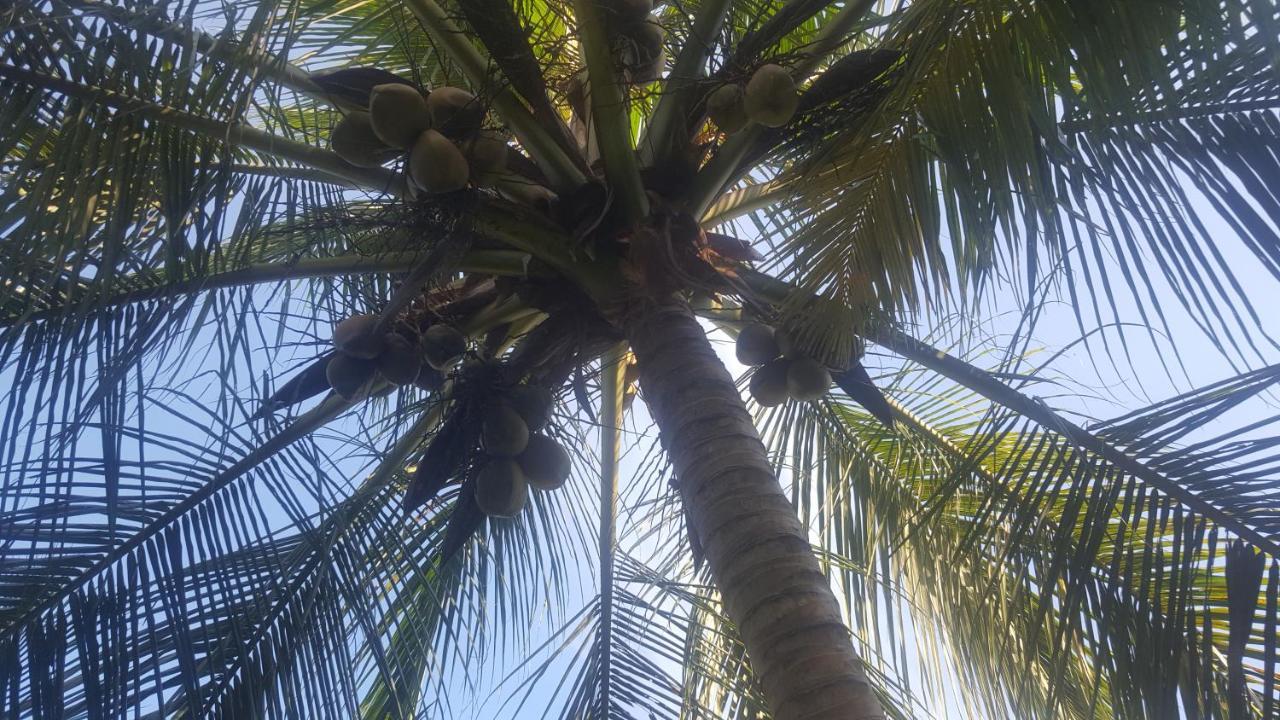 טנגלה Soma Cabana, Homestay & Restaurant מראה חיצוני תמונה